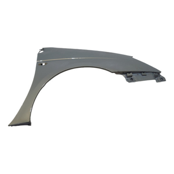 Paralama Dianteiro Direito Renault Scenic 2002 2003 A 2011