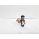 Bico Injetor Citroen C4 Peugeot 307 2.0 16v Flex 2007 A 2013