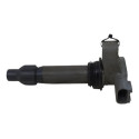 Bobina Igniçao Chevrolet Captiva 3.6 V6 2008 2009 2010 A 13