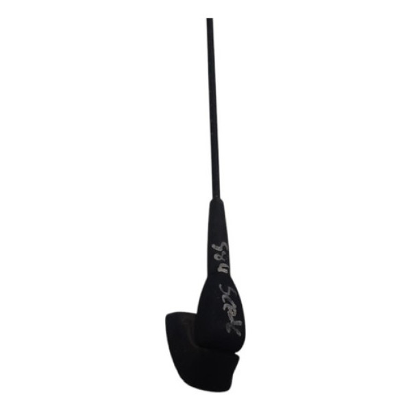 Antena Radio Renault Scenic 2001 2002 2003 2004 2005 A 2009