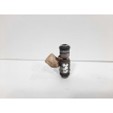 Bico Injetor Citroen C4 Peugeot 307 2.0 16v Flex 2007 A 2013