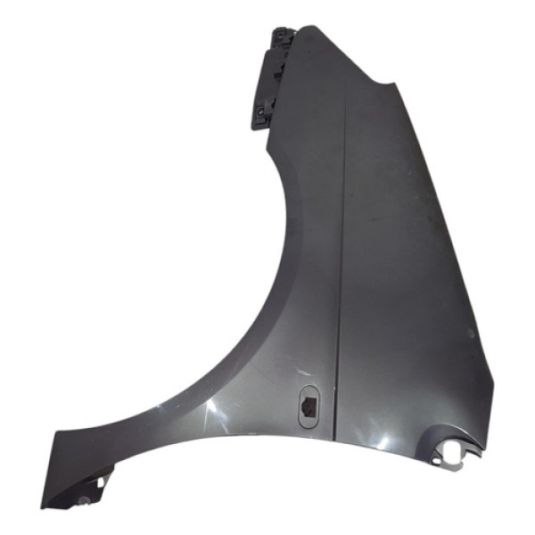 Paralama Dianteiro Esquerdo Renault Scenic 2002 2003 A 2011