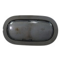 Luz Teto Renault Clio 2002 2003 2004 2005 2006 2007 A 2012